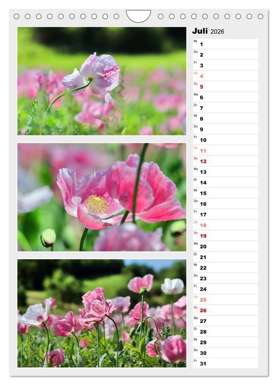 Produktbild: Zauberhafte Farben der Natur (Wandkalender 2026 DIN A4 hoch), CALVENDO Monatskalender