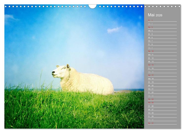 Produktbild: AUF DEM DEICH (Wandkalender 2026 DIN A3 quer), CALVENDO Monatskalender