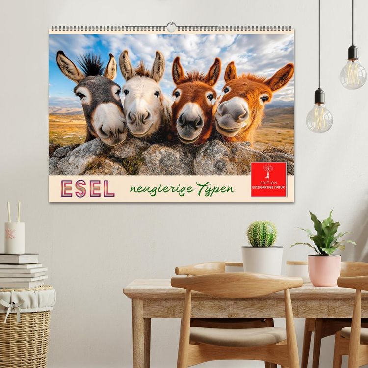 Produktbild: Esel - neugierige Typen (Wandkalender 2027 DIN A2 quer), CALVENDO Monatskalender