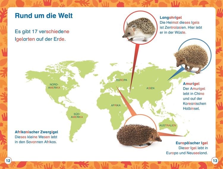 Produktbild: Superleser! Hallo, Igel!