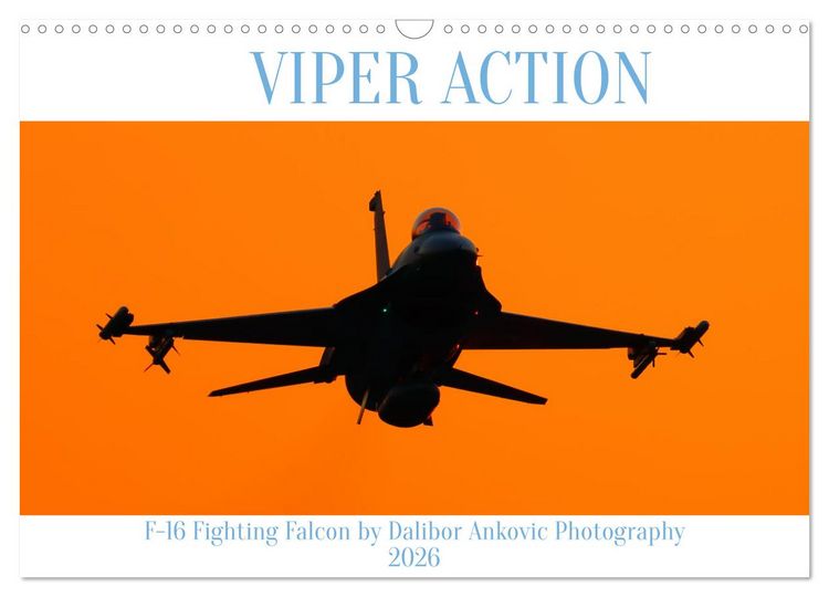 Produktbild: VIPER ACTION - F-16 FIGHTING FALCON (Wandkalender 2026 DIN A3 quer), CALVENDO Monatskalender