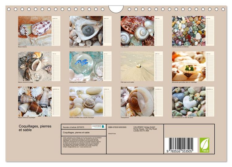 Produktbild: Coquillages, pierres et sable (Calendrier mural 2026 DIN A4 vertical), CALVENDO calendrier mensuel