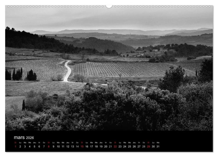 Produktbild: VIGNES DU SUD terroirs d'AOC (Calendrier mural 2026 DIN A2 vertical) calendrier de bureau