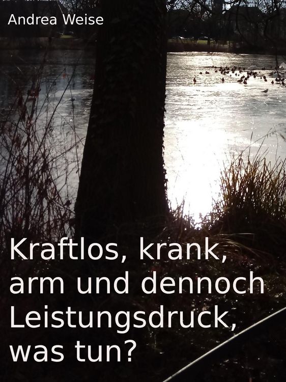 Produktbild: Kraftlos, krank, arm und dennoch Leistungsdruck, was tun?