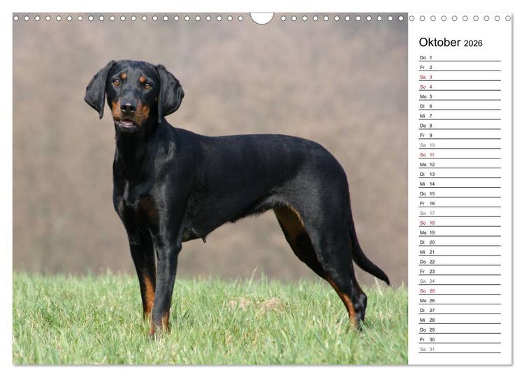 Produktbild: Der Brandlbracken-Terminplaner (Wandkalender 2026 DIN A3 quer), CALVENDO Monatskalender