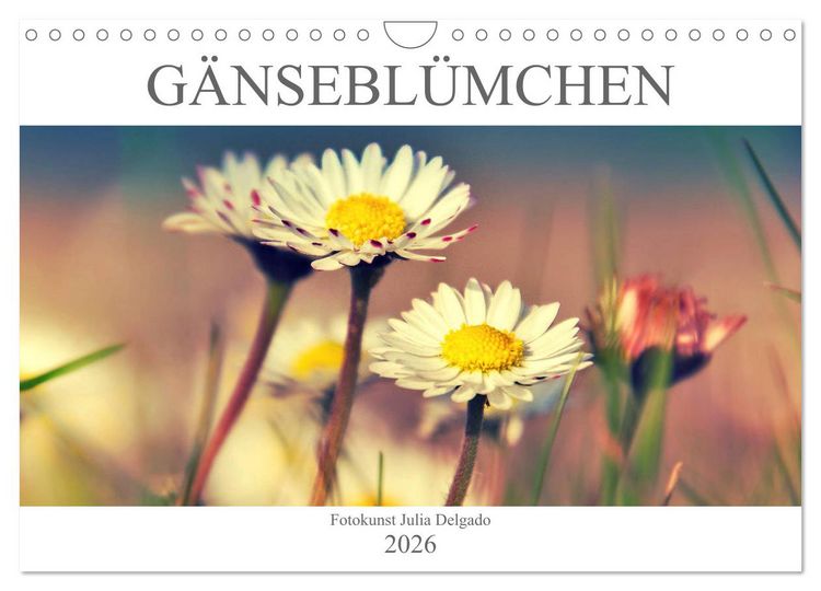 Produktbild: G&auml;nsebl&uuml;mchen Poesie (Wandkalender 2026 DIN A4 quer), CALVENDO Monatskalender