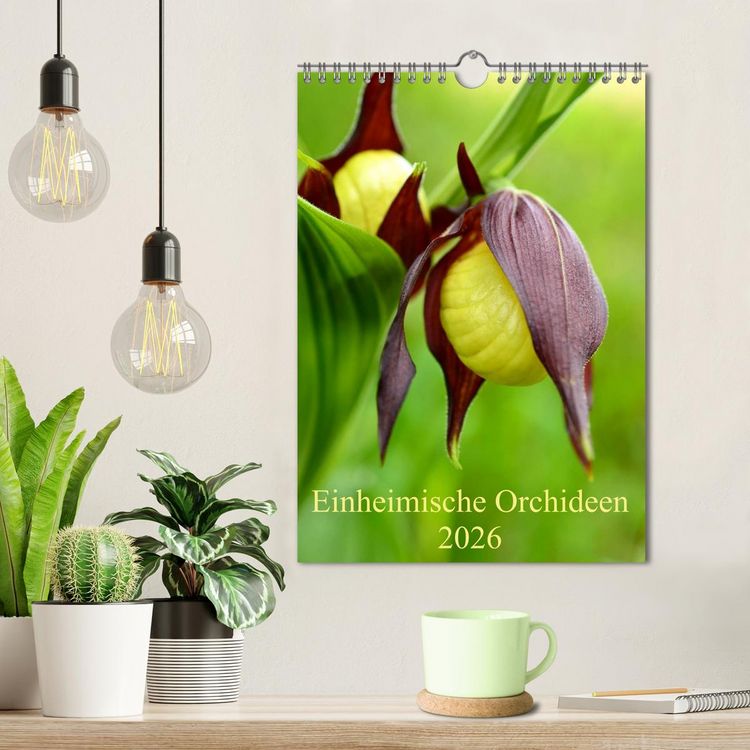 Produktbild: Einheimische Orchideen (Wandkalender 2026 DIN A4 hoch), CALVENDO Monatskalender