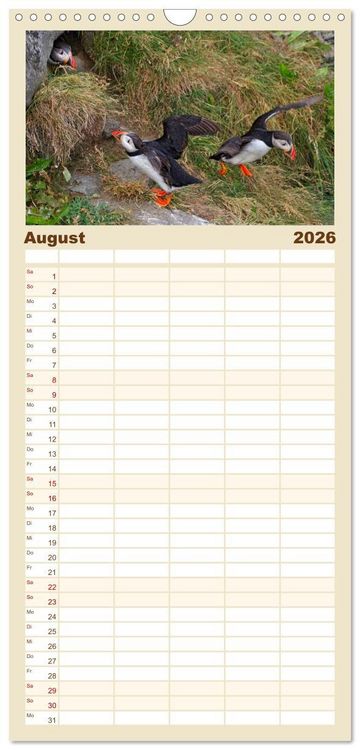 Produktbild: Familienplaner 2026 - Island - Land zwischen Feuer und Eis mit 5 Spalten (Wandkalender, 21 x 45 cm) CALVENDO