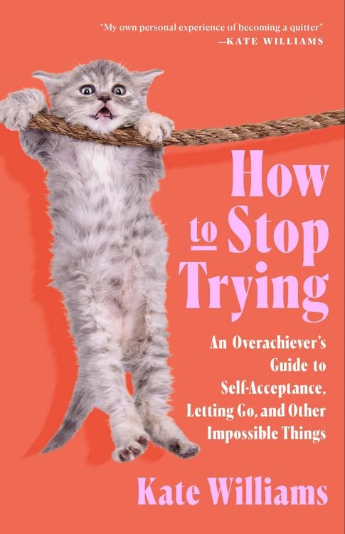 Produktbild: How to Stop Trying