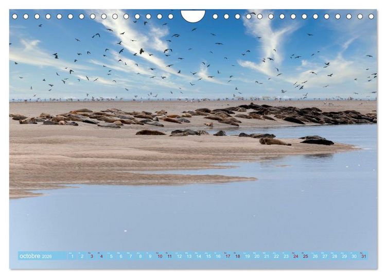 Produktbild: Les Hauts-de-France (Calendrier mural 2026 DIN A4 vertical), CALVENDO calendrier mensuel