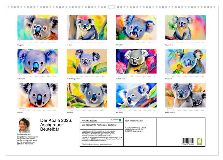 Produktbild: Der Koala 2026. Aschgrauer Beutelb&auml;r (Wandkalender 2026 DIN A2 quer), CALVENDO Monatskalender