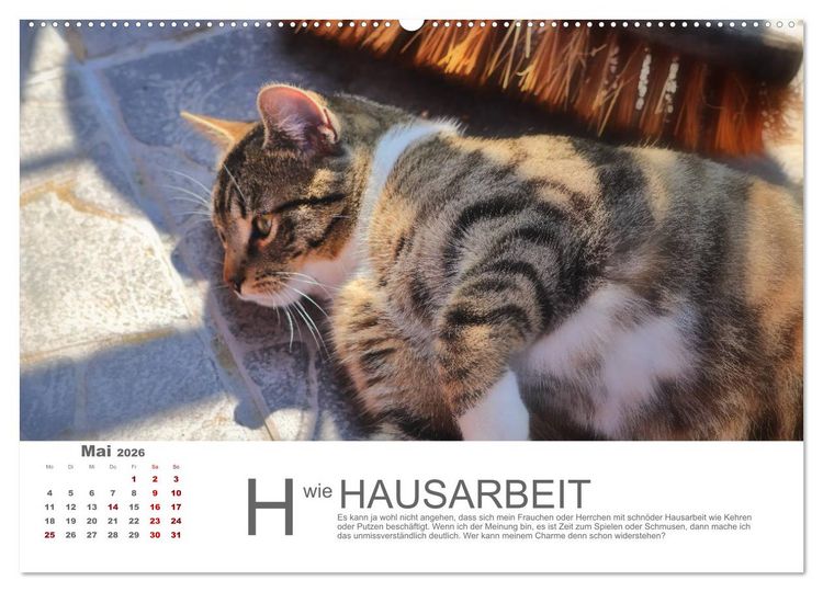 Produktbild: Katzen ABC (Wandkalender 2026 DIN A2 quer), CALVENDO Monatskalender