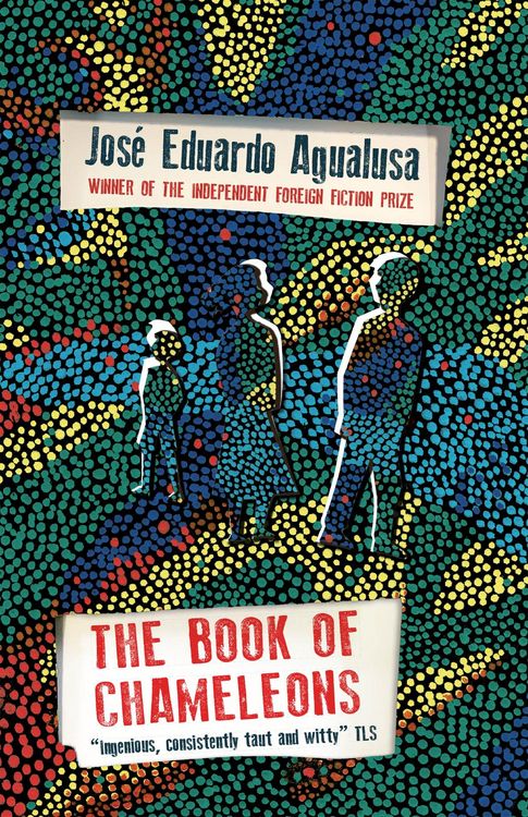 Produktbild: The Book of Chameleons