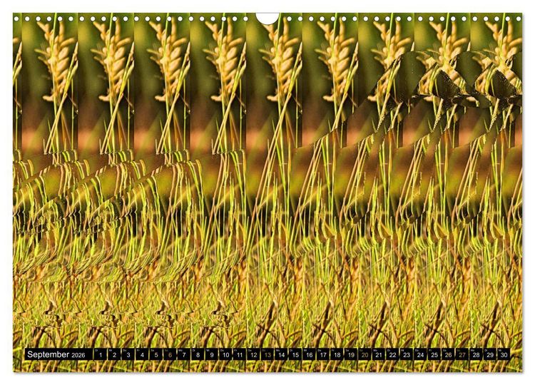 Produktbild: Magische Bilder - Stereogramme und 3D-Illusionen (Wandkalender 2026 DIN A3 quer), CALVENDO Monatskalender