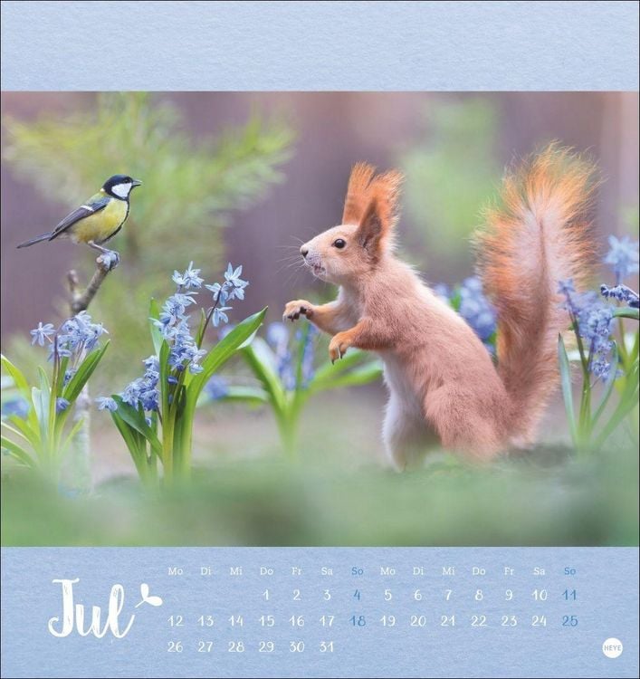 Produktbild: Vadim Trunov: M&auml;rchenhaftes Waldleben Postkartenkalender 2027