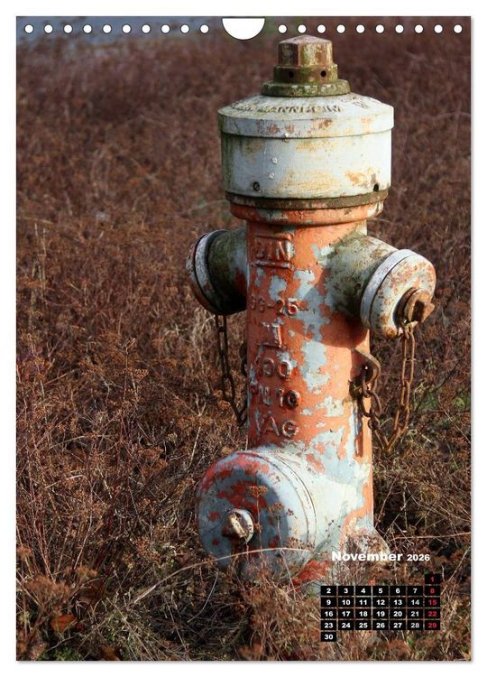 Produktbild: Nostalgie Hydranten (Wandkalender 2026 DIN A4 hoch), CALVENDO Monatskalender