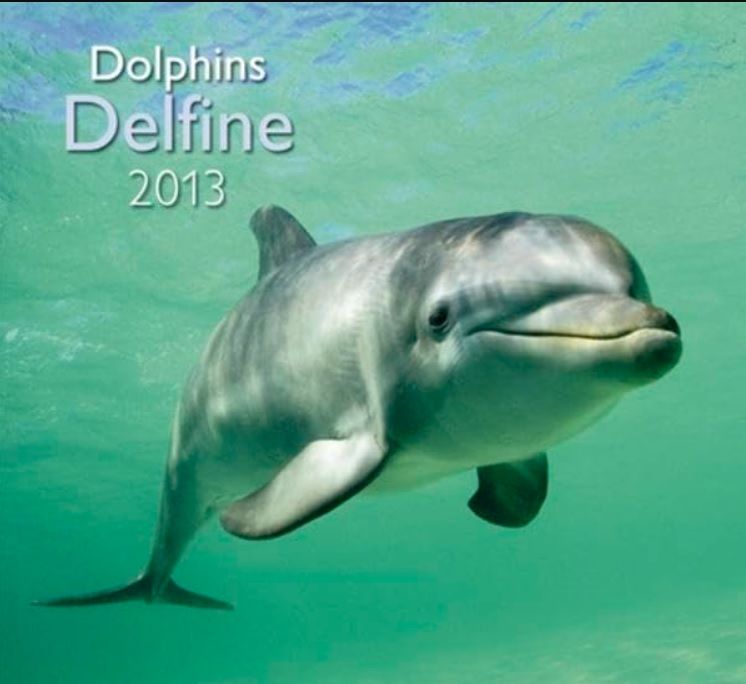 Produktbild: Delfine A&I 2013