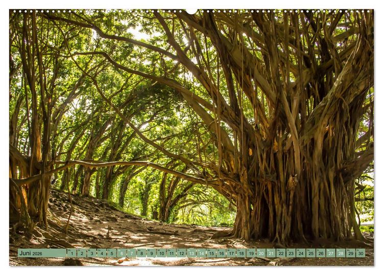 Produktbild: Big Island - Reise in eine unvergessliche Welt (hochwertiger Premium Wandkalender 2026 DIN A2 quer), Kunstdruck in Hochglanz