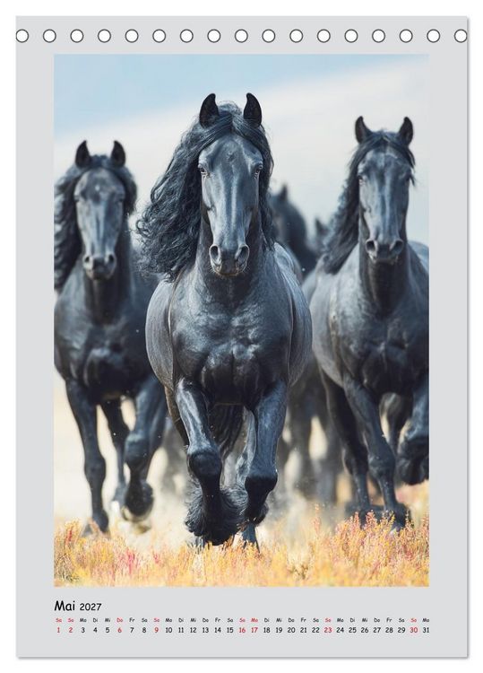 Produktbild: Friesenpferde. Schwarze Eleganz in der Natur (Tischkalender 2027 DIN A5 hoch), CALVENDO Monatskalender