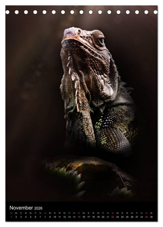 Produktbild: Auge in Auge mit coolen Typen - REPTILIEN (Tischkalender 2026 DIN A5 hoch), CALVENDO Monatskalender