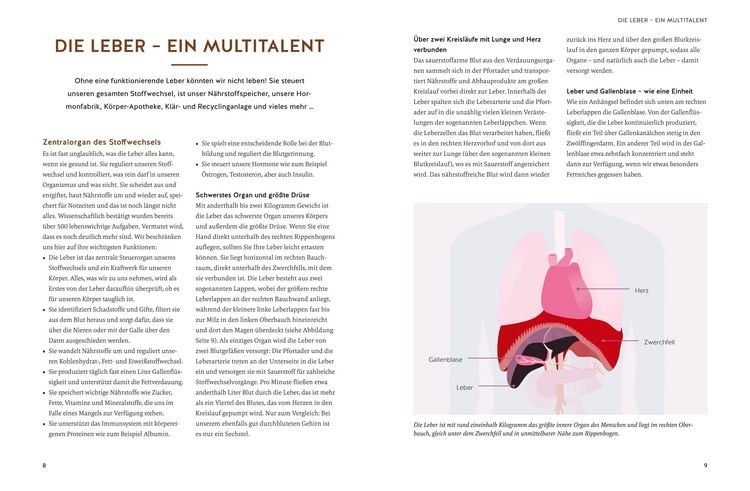 Produktbild: Die revolution&auml;re 9-Tage-Leber-Kur