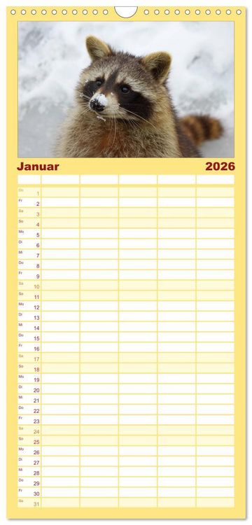 Produktbild: Familienplaner 2026 - Waschb&auml;ren mit 5 Spalten (Wandkalender, 21 x 45 cm) CALVENDO