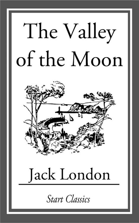 Produktbild: The Valley of the Moon