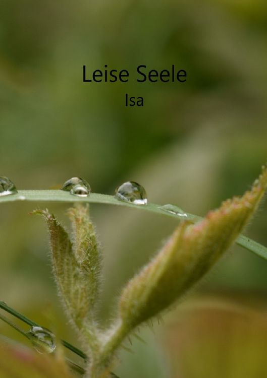 Produktbild: Leise Seele