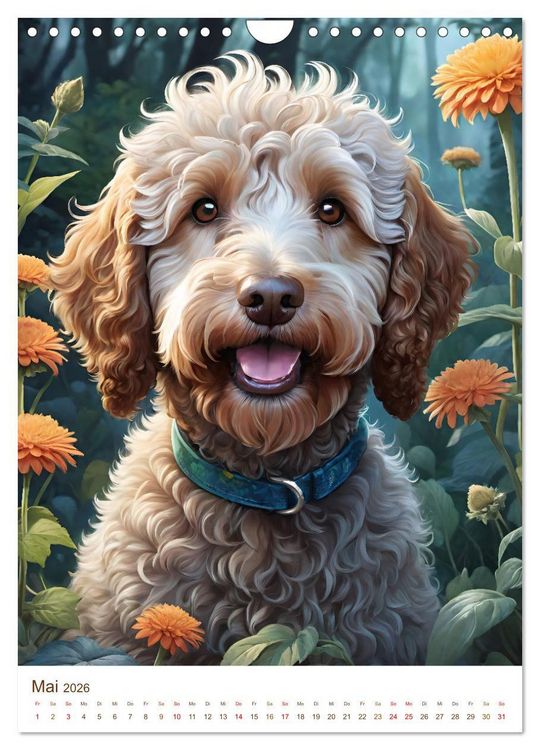 Produktbild: Der Labradoodle (Wandkalender 2026 DIN A4 hoch), CALVENDO Monatskalender
