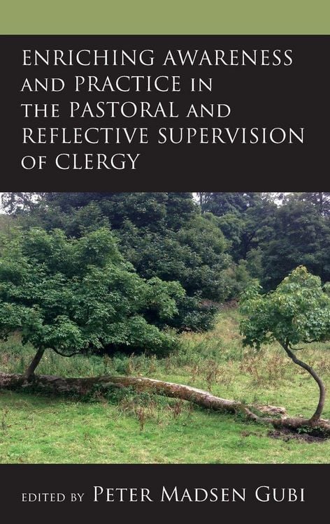 Produktbild: Enriching Awareness and Practice in the Pastoral and Reflective Supervision of Clergy