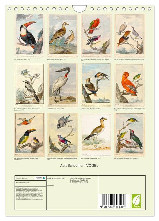 Produktbild: Aert Schouman. V&Ouml;GEL (Wandkalender 2026 DIN A4 hoch), CALVENDO Monatskalender