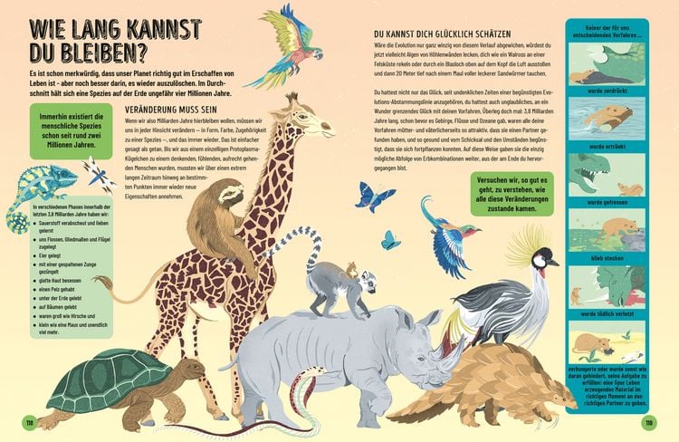 Produktbild: Eine kurze Geschichte von fast allem &ndash; Ausgabe f&uuml;r junge Leser