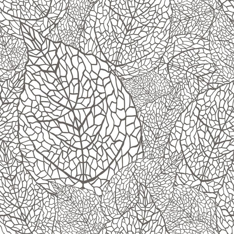 Produktbild: Natur Inspiration &ndash; 50 Gartenmotive kolorieren