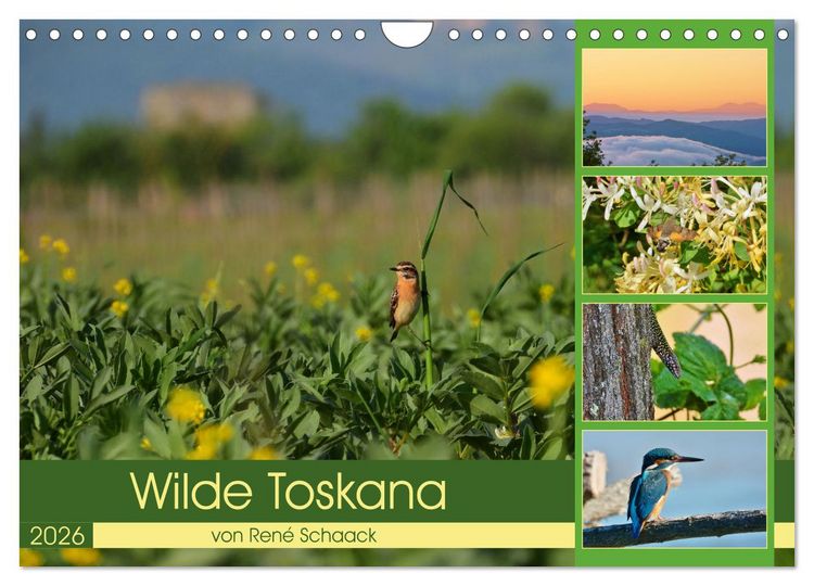 Produktbild: Wilde Toskana - von Ren&eacute; Schaack (Wandkalender 2026 DIN A4 quer), CALVENDO Monatskalender