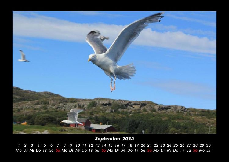 Produktbild: Nordsee 2025 Fotokalender DIN A3