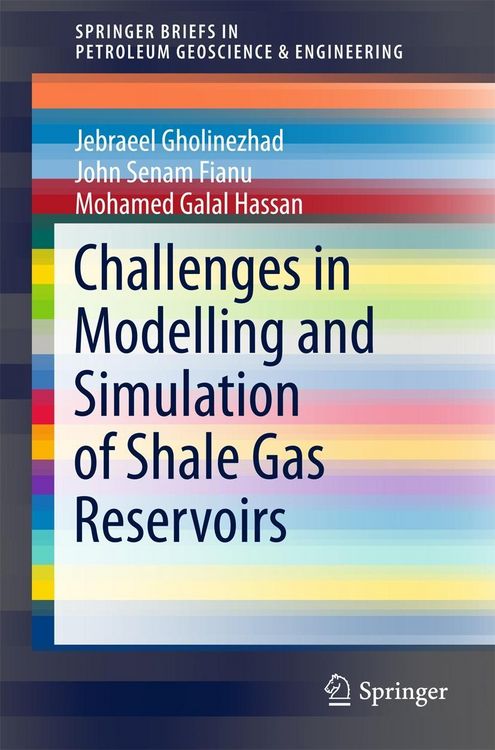 Produktbild: Challenges in Modelling and Simulation of Shale Gas Reservoirs