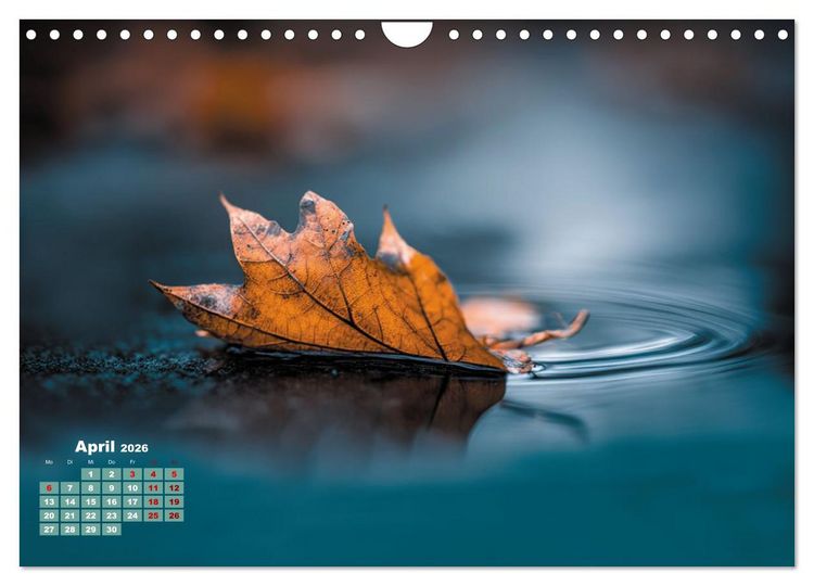 Produktbild: Herbstgefl&uuml;ster - Farben, die vom Wind erz&auml;hlen (Wandkalender 2026 DIN A4 quer), CALVENDO Monatskalender
