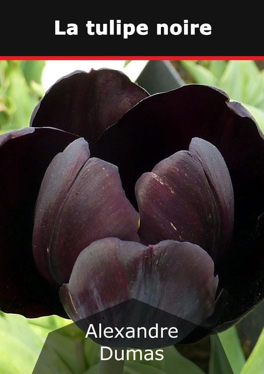 Produktbild: La tulipe noire