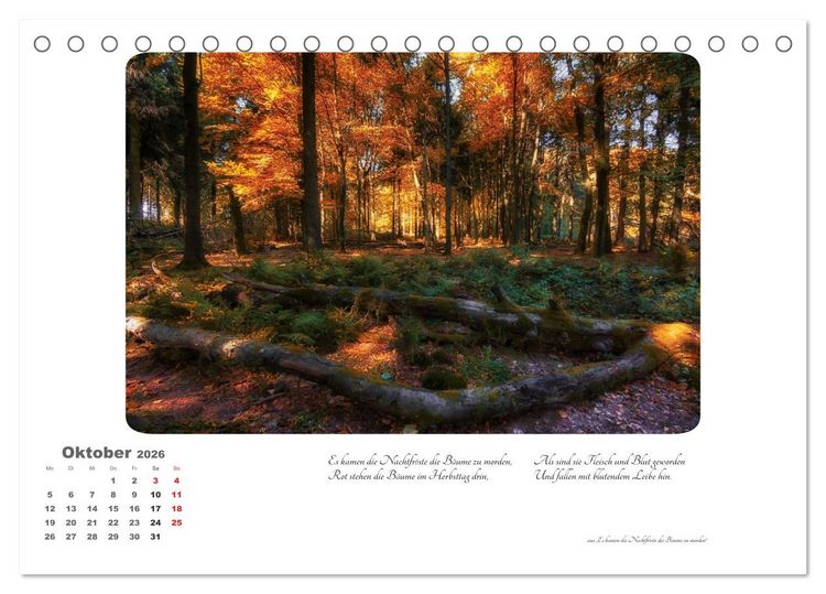 Produktbild: Max Dauthendey - Mit dem Wald durchs Jahr (Tischkalender 2026 DIN A5 quer), CALVENDO Monatskalender
