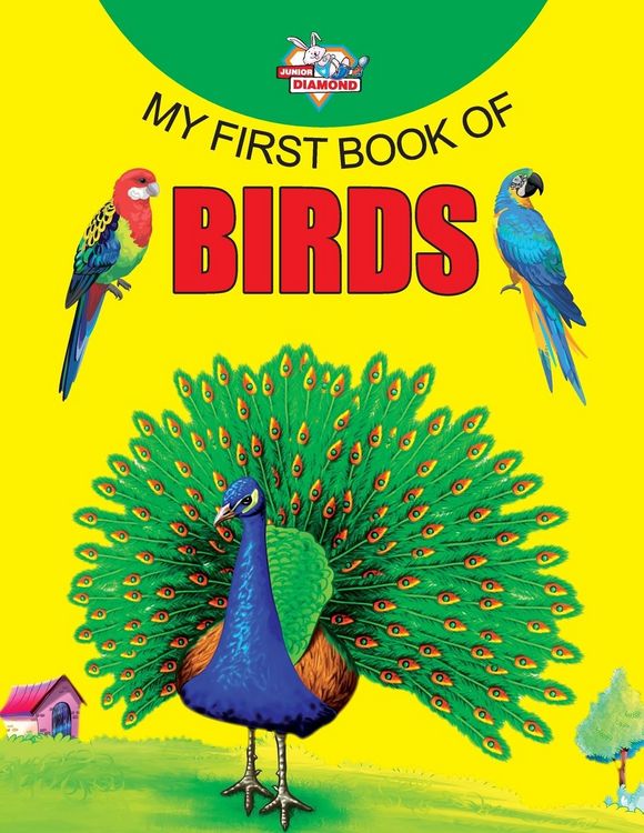 Produktbild: My First Book of Birds
