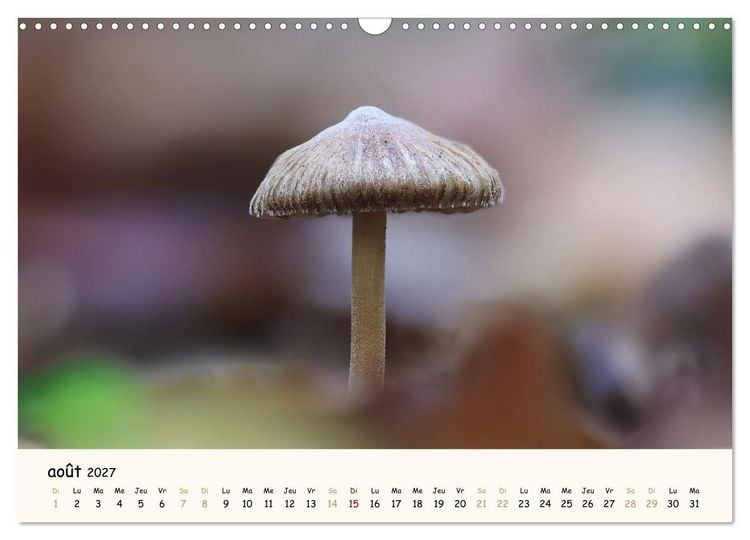 Produktbild: Champignons magiques (Calendrier mural 2027 DIN A3 vertical), CALVENDO calendrier mensuel