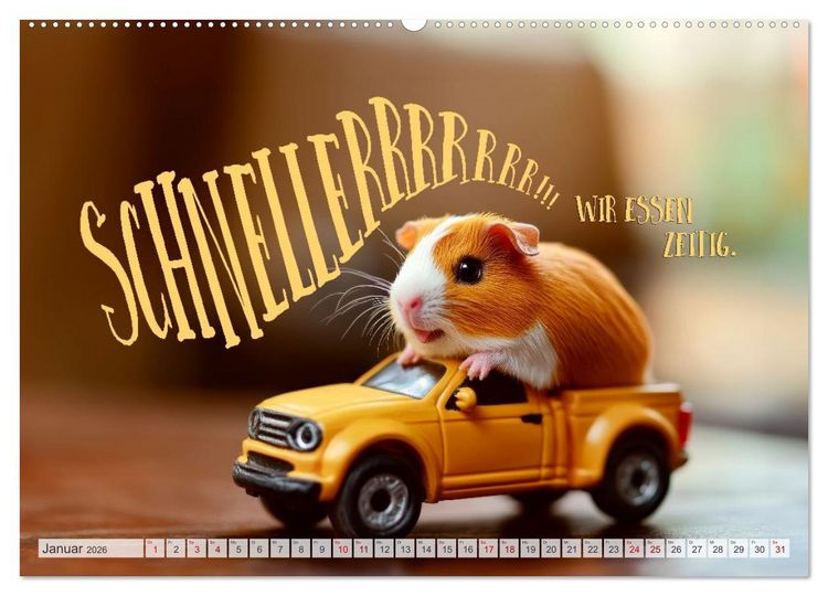 Produktbild: Meerschweinchen LUSTIG DURCHS JAHR (hochwertiger Premium Wandkalender 2026 DIN A2 quer), Kunstdruck in Hochglanz