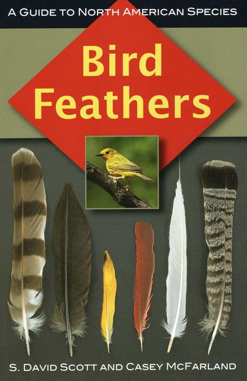 Produktbild: Bird Feathers