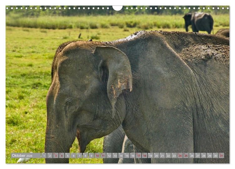 Produktbild: Sri Lanka, Gr&uuml;ne Berge - unber&uuml;hrte Natur (Wandkalender 2026 DIN A3 quer), CALVENDO Monatskalender