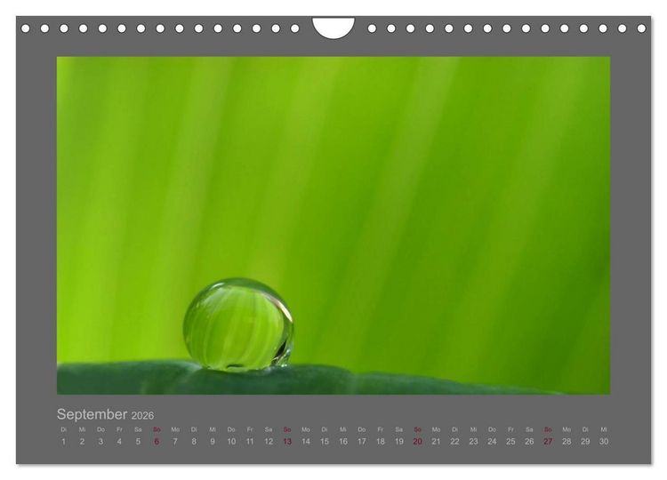 Produktbild: Kleine, gro&szlig;e Tropfenwelt (Wandkalender 2026 DIN A4 quer), CALVENDO Monatskalender