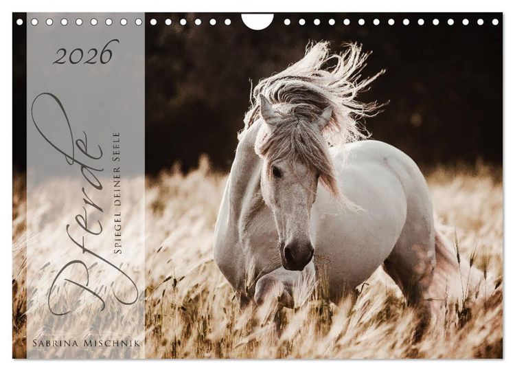 Produktbild: Pferde - Spiegel deiner Seele (Wandkalender 2026 DIN A4 quer), CALVENDO Monatskalender