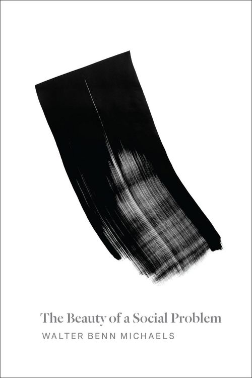 Produktbild: The Beauty of a Social Problem