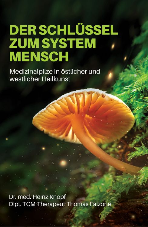 Produktbild: Der Schl&uuml;ssel zum System Mensch