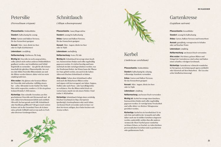 Produktbild: Unsere kreative Kr&auml;uterk&uuml;che