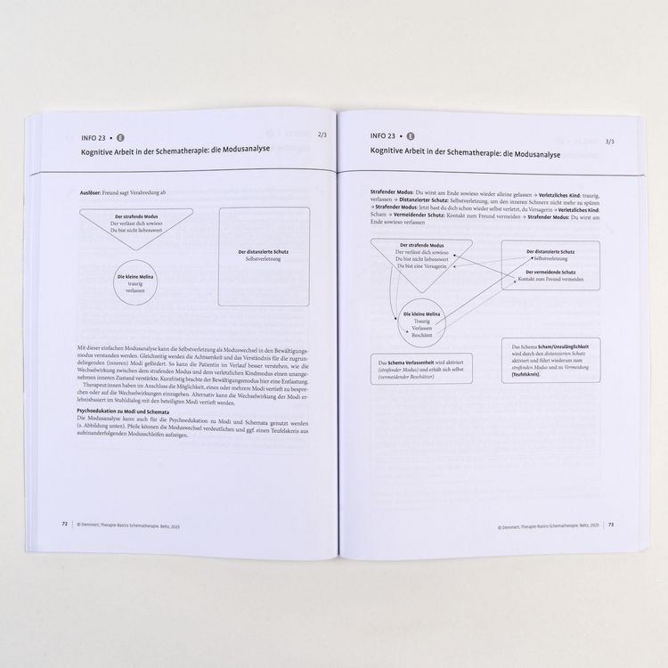 Produktbild: Therapie-Basics Schematherapie
